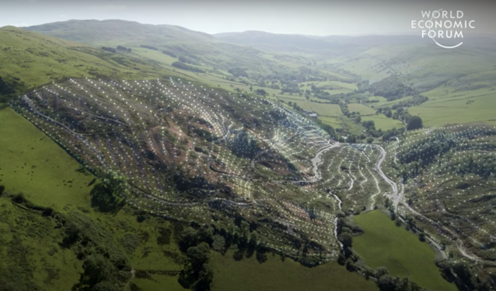 Picture of landscape demonstrates a mapped course for drones to drop seeds.