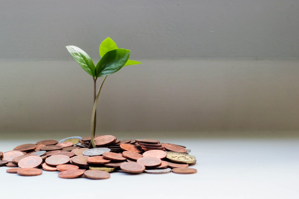 Image shows a plant growing out of coins.