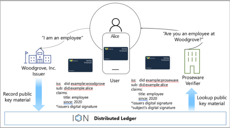 Chart shows an example issuer, holder, and verifier and how they interact via a distributed ledger.