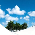Image of sky and palm trees represents Microsoft Purview's visibility and ease.