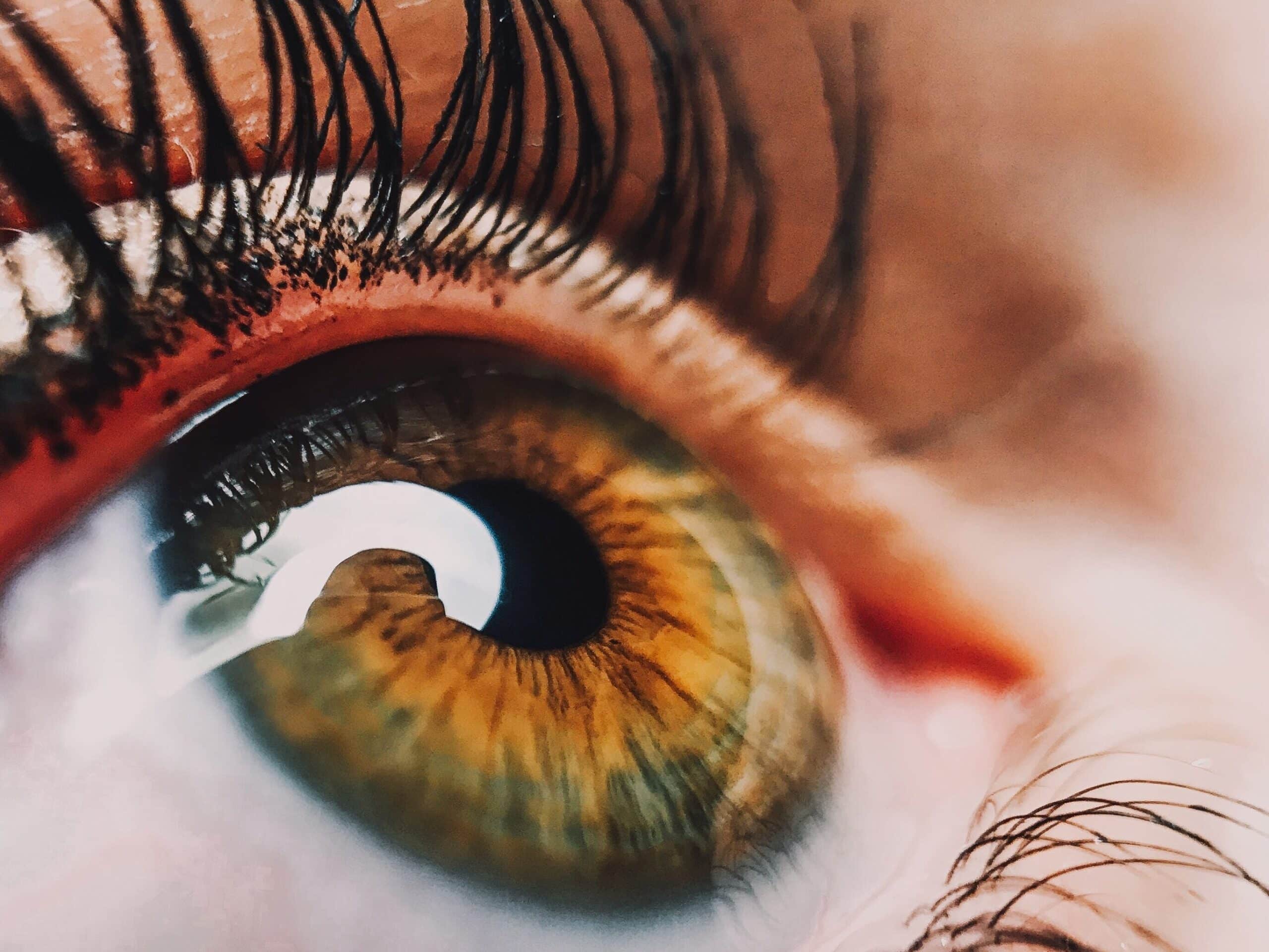 Close-up image of an eye prompts comparison between human and computer vision.

