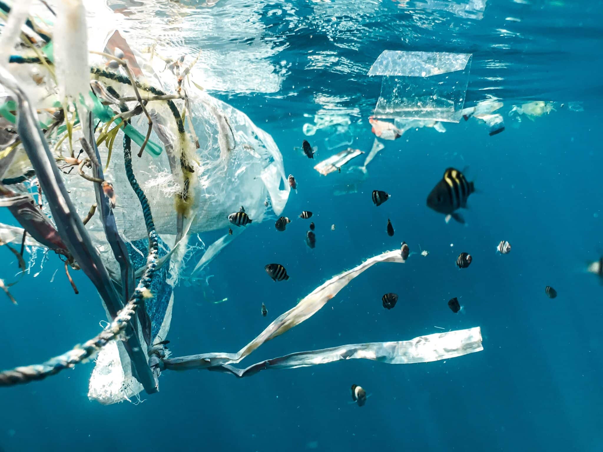 Image os a fish swimming among ocean plastic pollution