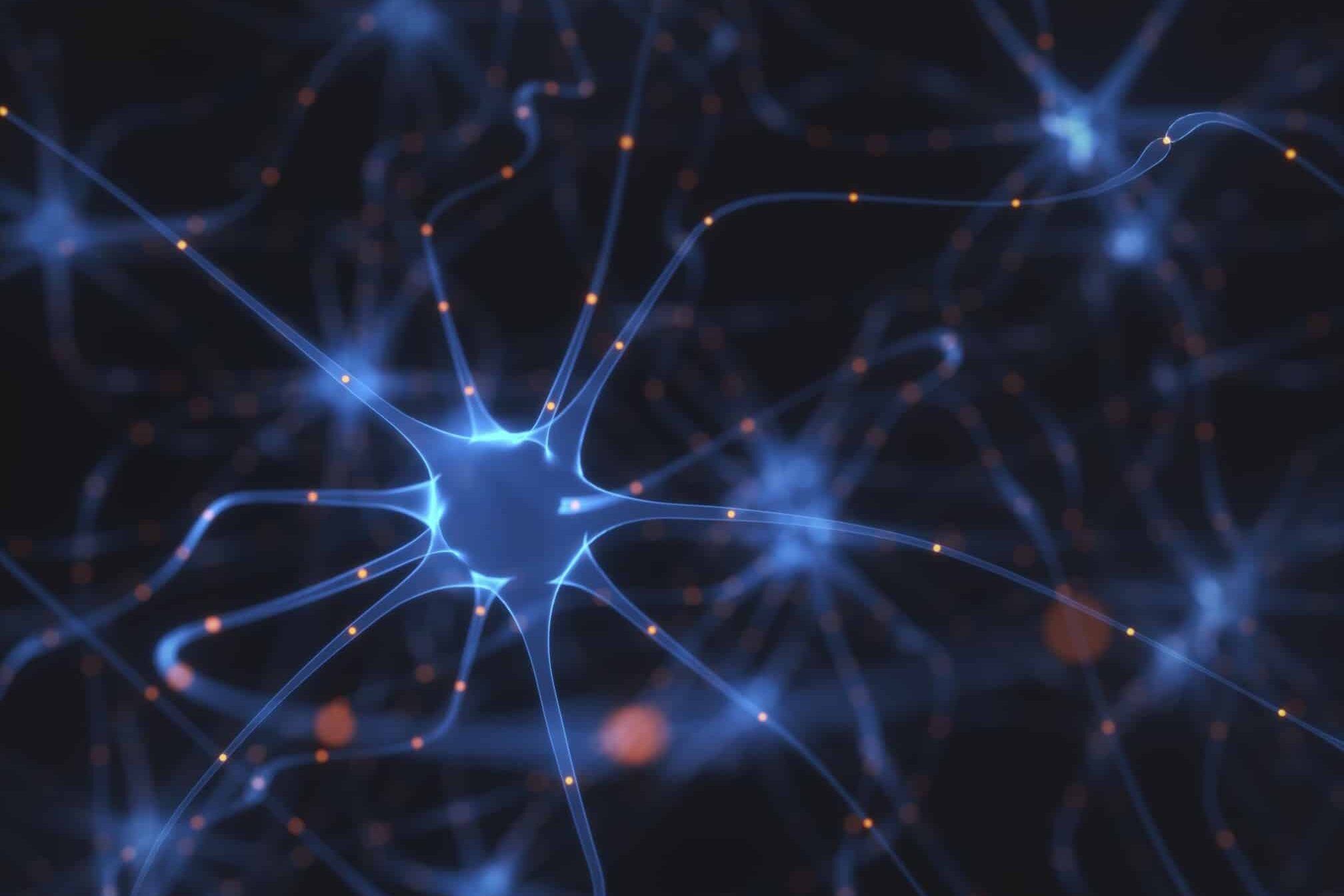 Image of a neuron, inspiration for research on quantum materials