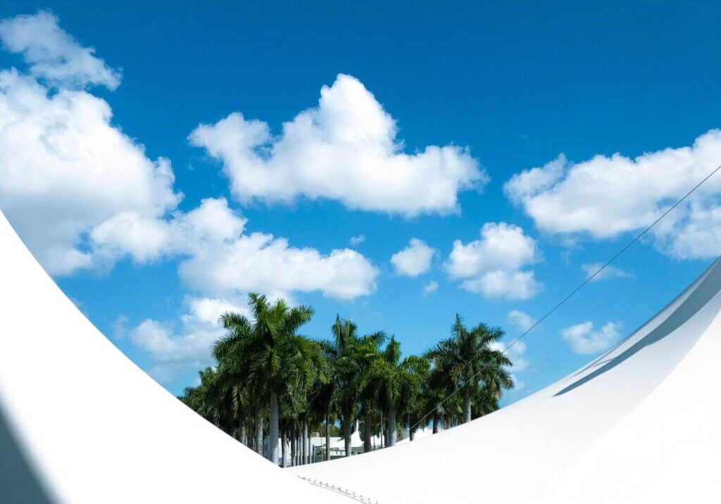 Image of sky and palm trees represents Microsoft Purview's visibility and ease.